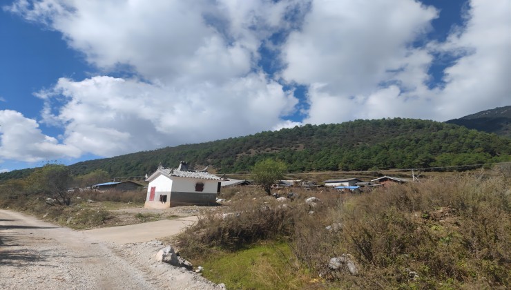 云南寧蒗華君林權(quán)